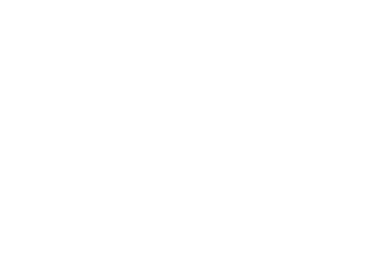 FULCRUM